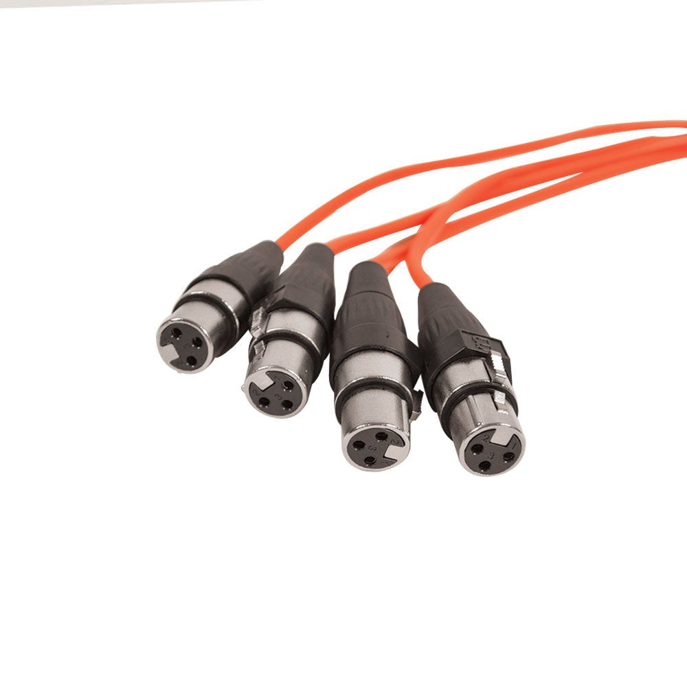 Seismic Audio Speakers 12 Channel Low Profile XLR Send Circuit Board Snake Cable, XLR Splitter Cable, 100 Feet