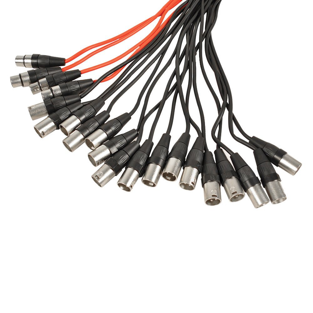 Seismic Audio Speakers 12 Channel Low Profile XLR Send Circuit Board Snake Cable, XLR Splitter Cable, 100 Feet