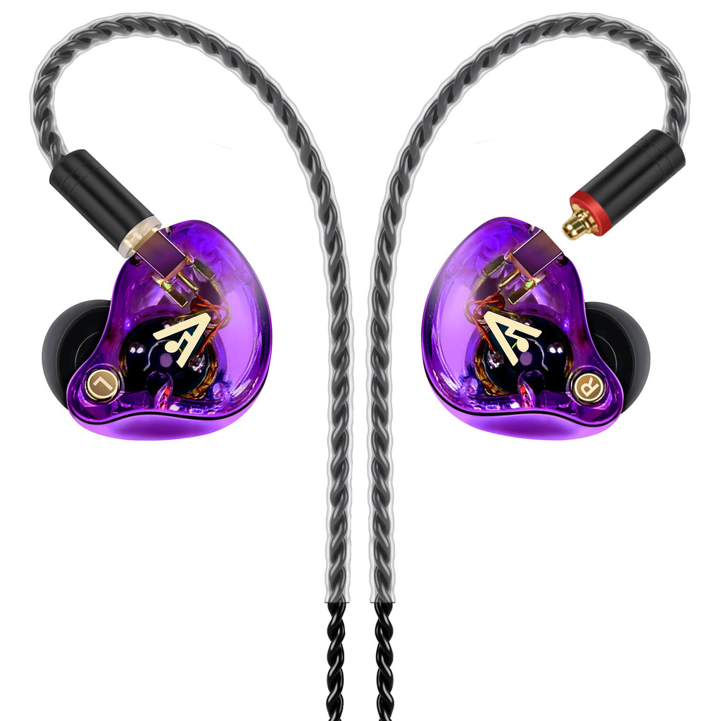 Vibes 202MC USB-C Wired Earbuds - USBC HiFi in Ear Headphones for iPhone 17/16/15 - Noise Isolating Ear Buds w/ Mic - Clear Sound, Deep Bass & Comfort-Fit Earphones - Silver Plated Cord, Carrying Case